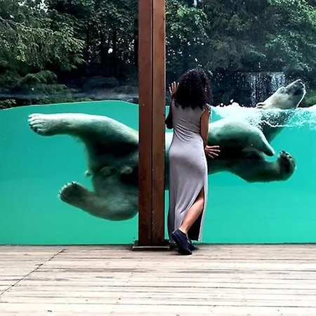 Chalet A Clermont-creans Avec Piscine Partagee *