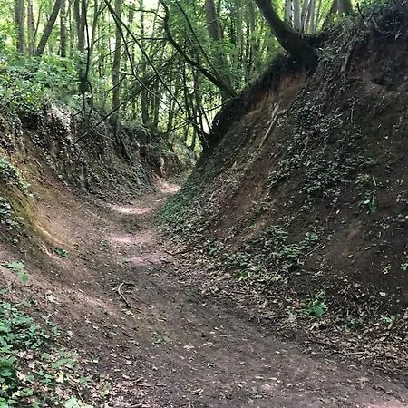 A Clermont-creans Avec Piscine Partagee * La Flèche