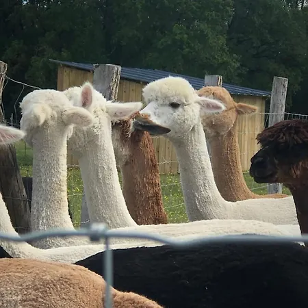 Chalet A Clermont-creans Avec Piscine Partagee *