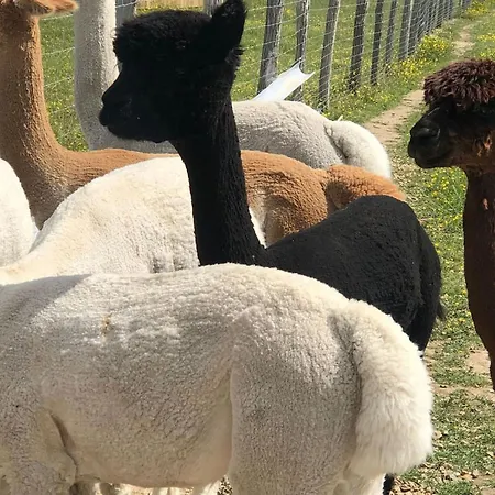 Chalet A Clermont-creans Avec Piscine Partagee La Flèche