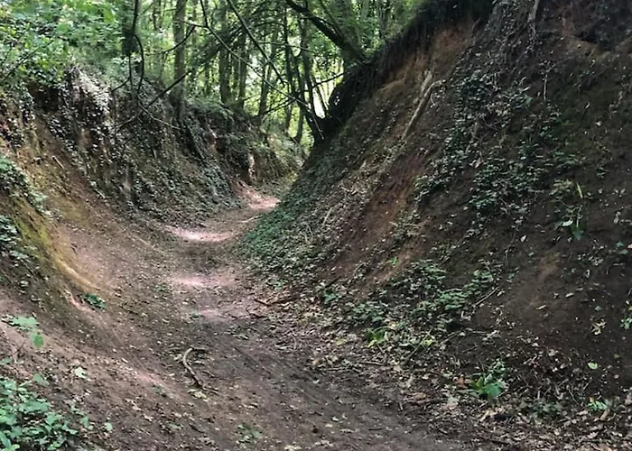 A Clermont-creans Avec Piscine Partagee * La Flèche