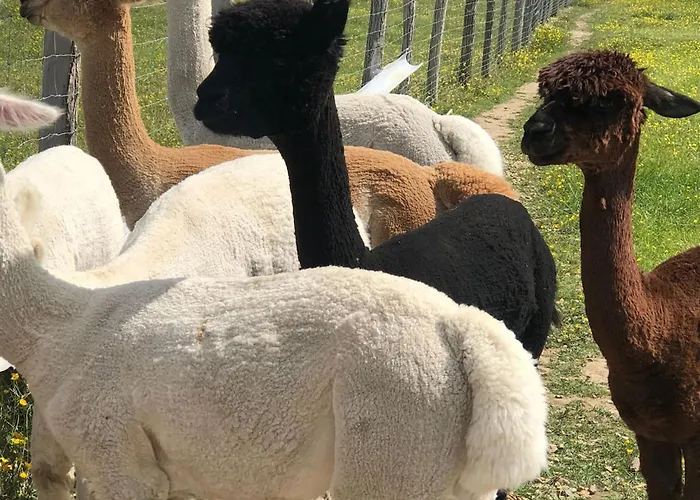 Alpstuga A Clermont-creans Avec Piscine Partagee La Flèche